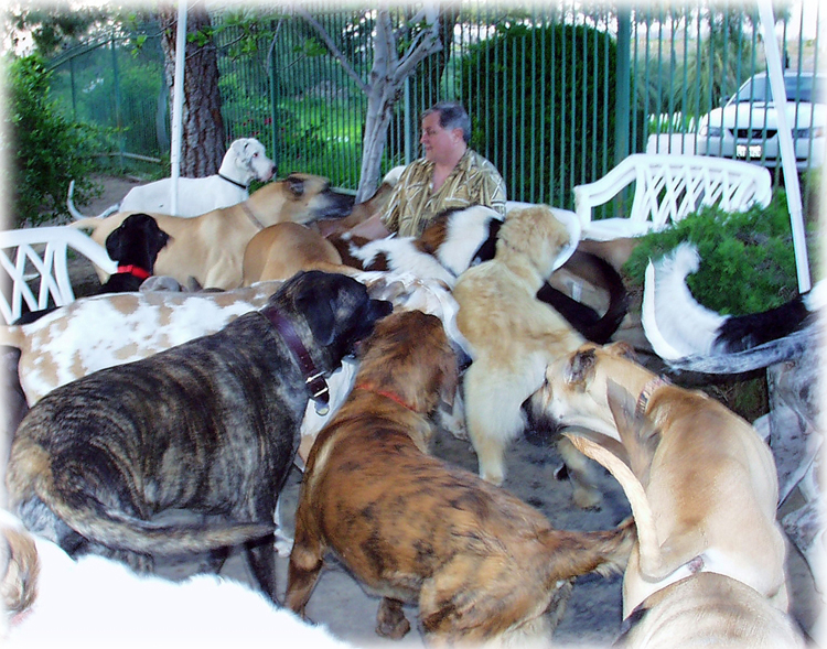 Burt enjoys "Our Herd"